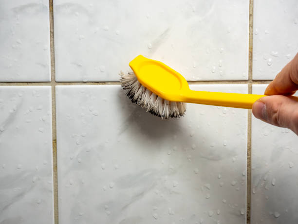 Trusted Pine Hills, CA Mold Remediation Experts